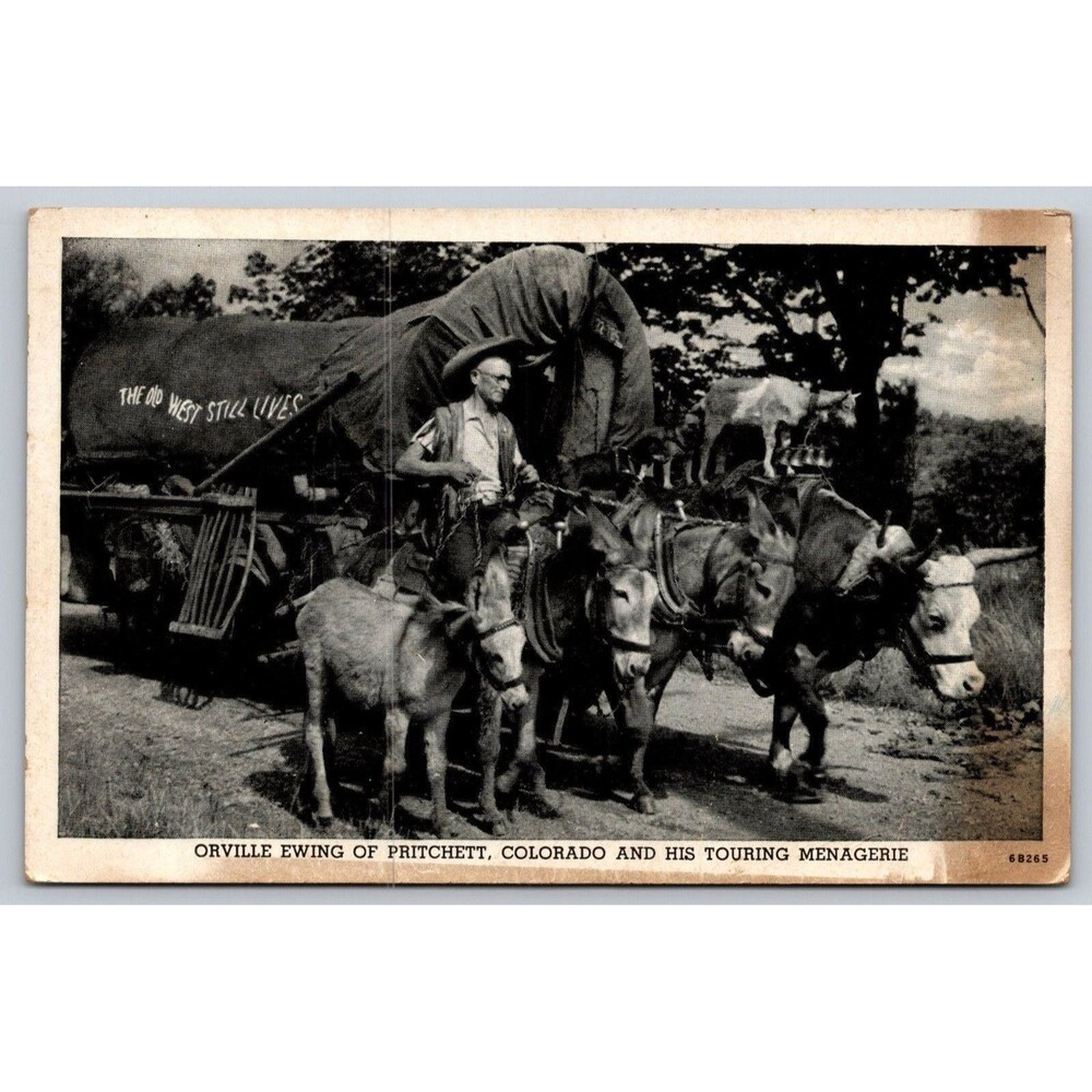 Vtg Postcard Orville Ewing Touring Menagerie Pritchett Colorado Covered Wagon CO